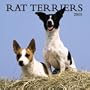 Rat Terriers 2005 Wall Calendar