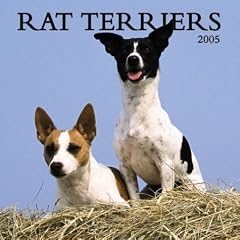 Rat Terriers 2005 Wall Calendar