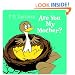 Are You My Mother? (cloth book)