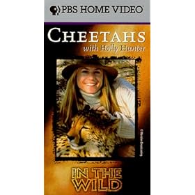 In the Wild - Cheetahs with Holly Hunter [VHS]