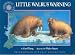  : Little Walrus Warning (Smithsonian Oceanic Collection)