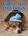 First
Aid
for
Dogs:
What
to
Do
Before
You
Take
Your
Sick
Dog
to
the
Vet