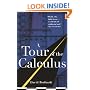 A Tour of the Calculus
