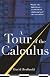 Tour of the Calculus, A