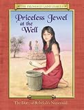 Priceless Jewel at the Well: The Diary of Rebekahs Nursemaid, Canaan, 1986-1985 B. C. (Promised Land Diaries)