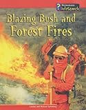 Blazing bush and forest fires