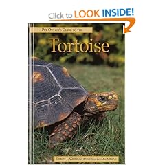 Pet Owner's Guide to the Tortoise