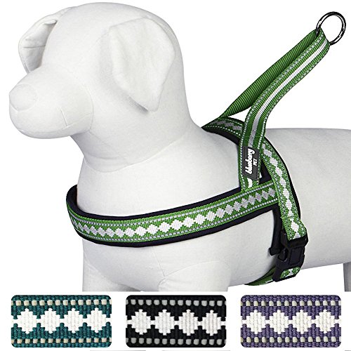 Blueberry Pet Harnesses Classic Solid No Pull Jacquard Print Neoprene Padded Dog Harness in Moss Green 3/4" Medium