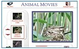 Amazing Animals (PC CD)
