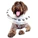 BooBooLoon Inflatable Pet Recovery Collar 1 Medium Size