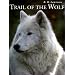 Trail of the Wolf
