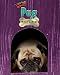 Pug: What a Mug! (Little Dogs Rock!)