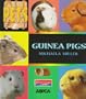 Guinea Pigs (Pets)
