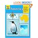 Antarctica: Grades 3-6