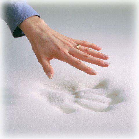 Complete Comfort Dreamcoil 2-Inch Memory Foam Topper