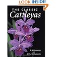 The Classic Cattleyas