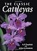 The Classic Cattleyas
