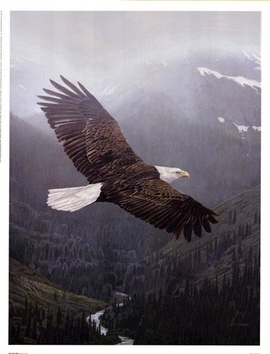 Into The Mist Beautiful MUSEUM WRAP CANVAS Print with Added BRUSHSTROKES Terry Isaac 13×17