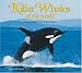 Book Killer Whales of the World (Worldlife Discovery Guides.)