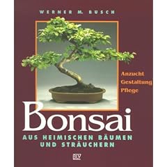 Bonsai aus heimischen B�umen und Str�uchern. Anzucht, Gestaltung, Pflege