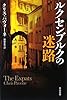 ルクセンブルクの迷路 (ハヤカワ文庫 NV)