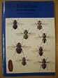 Blowflies (Naturalists' Handbook 23)