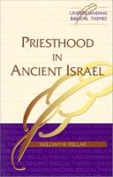 Priesthood in Ancient Israel (Understanding Biblical Themes Series)