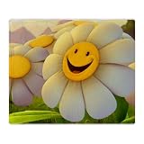 Stadium Throw Blanket Smiley Face on Daisy