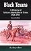Black Texans: A History of African Americans in Texas, 1528–1995