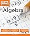 Algebra I (Idiot's Guides)