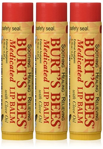 Burt s Bees Burt s Lip Care Medicated Lip Balm with Clove Oil 0.15 oz. tube Lip Balms (Pack of 3)