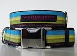Montauk Collar Large 20 25 X 1 51X3pi4NiwL. SL160 Montauk Collar Large 20 25 X 1