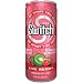 The Switch Sparkling Juice, Kiwi Berry, 8-Ounce Cans (Pack of 24) ( Value Bulk Multi-pack)