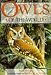 Owls of the World