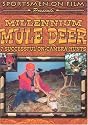 Millennium Mule Deer