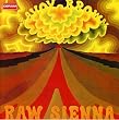 Raw Sienna
