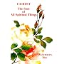 Christ the Sum of All Spiritual Things