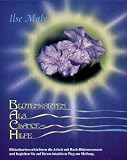 Bachbl&uuml;ten-Karten. Bl&uuml;tenkarten als Chance und Hilfe: Kartenset mit allen 39 Bachbl&uuml;tenfotos