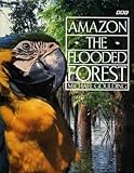 Amazon the flooded forest