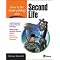 I think we now have 25+ Second Life topics in print--look and see!!