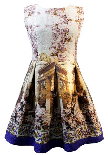 Sheinside White Contrast Blue Sleeveless Vintage Floral Dress