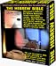Software : Hebrew Bible Narrated - The Whole Bible Narrated in Hebrew on 4 Audio CD's! (MAC)