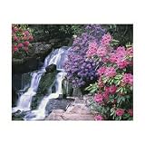 Springbok Blooming Waters 1500 Piece Jigsaw Puzzle