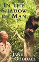 In The Shadow Of Man