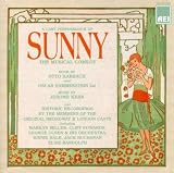 Sunny: The Musical Comedy