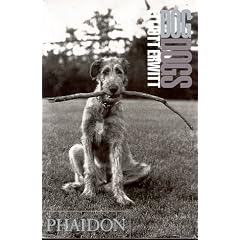 Dogs Dogs (Taschenbuch)