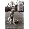 Books on Photography