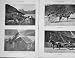 1904 Trout Fishing Norway Vinje Lake Telemark Jolster