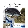 キャッシュフロー分析 黒川明 [DVD]