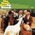 Pet Sounds